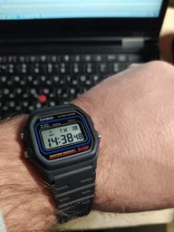 Часы Casio W-59-1VQES