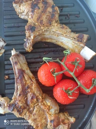 Гриль GEORGE FOREMAN Indoor Outdoor Grill 22460-56