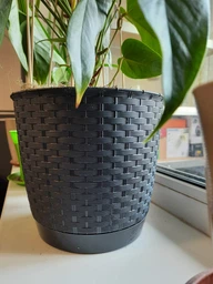 Горщик для квітів Prosperplast RATOLLA Н-12.7 см круглий з підставкою білий (70762-449)