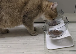 Миска для кота двойная с нескользящей наклонной подставкой из ABS пластика Feeding Bowl прозрачная (FВ-26428) фото от покупателей 5