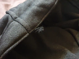 Термобілизна флісова Norfin Cosy Line чоловіча (2-й шар) чорна розмір XXL 3007105-XXL (14058) 3007105-XXL фото від покупців 7