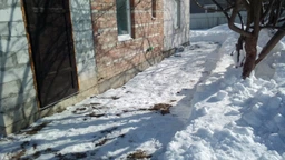 Лопата для снігу 47х9.8х35 см l-126 см noname47 eco Prosperplast, 5905197141770 фото від покупців 3