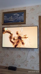 Телевизор Sony KD55XG7096BR Black фото от покупателей 6