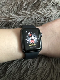 Apple Watch Series 3/GPS/38mm/A1858/スペースグレー〈MTF02J/A〉 (2) ᐈ Apple Watch Series 3 GPS + LTE 38mm Space Gray Aluminum Case