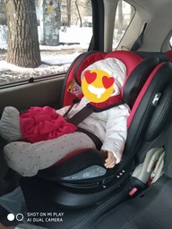 Автокресло Bertoni (Lorelli) Aviator Isofix 0-36 кг Black/Light Grey (AVIATOR b/l.grey) (3800151986287)
