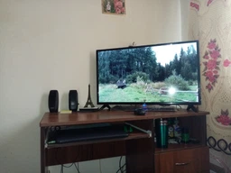 ТБ Setup 43FSF20 фото від покупців 1