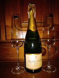 Вино ігристе Cava Jaume Serra Brut J.Garcia Carrion біле брют 0.75 л 11% + 2 келихи (2129908299083_1021000010300) фото від покупців 8