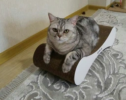 Кігтеточка дряпка з гофрокартону лежанка для котів з картонним фасадом Cat Joy Modern Whitish 54x13x25 см