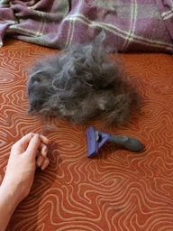 Фурминатор для котов с длинной шерстью FURminator размер L (691662) (4048422141280)