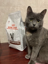 Корм для кошек Royal Canin Gastrointestinal при расстройствах пищеварения, 4 кг фото от покупателей 11