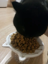 Сухий корм для котів Hill's Prescription Diet k/d підтримання функції нирок з куркою 3 кг (052742043760) фото від покупців 3