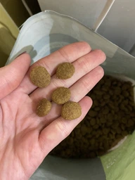 Сухой корм для собак Purina Pro Plan Dog Large Puppy Robust с курицей и рисом 12 кг (7613035120341) фото от покупателей 3