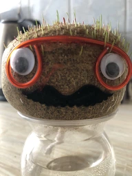 Набор для выращивания Grow Grass man Травянчик (UFTGG) фото от покупателей 11