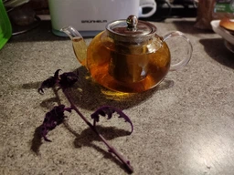 Чайник для заварювання Ardesto Gemini Teapot AR1910GM скляний 1л фото від покупців 1