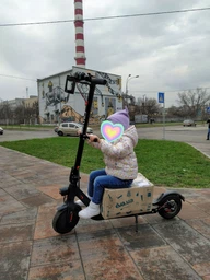 Электросамокат Crosser E9 Premium Pneumatic (Чёрный) XF0901/EU фото от покупателей 2