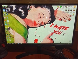 Монитор 23.8" LG 24MP58VQ-P