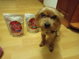 Сухий корм для собак малих порід Purina One Mini 1,5 кг (яловичина та рис) фото от покупателей 4
