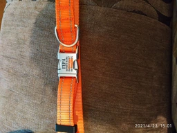 Ошейник Для Собак BronzeDog Active Нейлоновый со Светоотражением и Металлической Пряжкой с Гравировкой Бирюзовый 25 мм 43-66 см (38/1225)