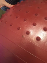 Фітбол масажний з насосом LiveUp Half Massage Ball (LS3569) фото від покупців 2