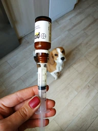 Суспензия против гельминтов Bayer Procox для щенков и взрослых собак 7.5 мл (1мл на 2 кг веса) фото от покупателей 2