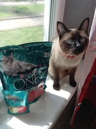 Сухой корм для взрослых стерилизованных кошек Purina One Sterilcat с говядиной 1.4 кг (8445291792401) фото от покупателей 1