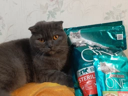 Вологий корм PURINA ONE Sterilcat для стерилізованих кішок з індичкою та зеленою квасолею 48шт*85г фото від покупців 8