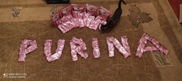 Вологий корм для кошенят Purina One Junio з лососем в гриль соусі 24 х 85 г 24х85г(7613038224466) фото від покупців 7