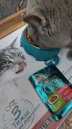 Вологий корм PURINA ONE Sterilcat для стерилізованих кішок з індичкою та зеленою квасолею 48шт*85г