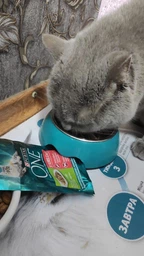 Вологий корм PURINA ONE Sterilcat для стерилізованих кішок з індичкою та зеленою квасолею 48шт*85г фото від покупців 2