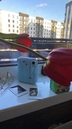 Камера миттєвого друку Fujifilm Instax Mini 11 Lilac ліловий фото від покупців 1