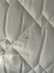 Подушка для сна Sleepingg Антиаллергенное волокно 50х70 Белая стеганый чехол (4820227283200) фото от покупателей 16