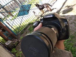 Фотоаппарат Canon EOS 550D 18-55 IS Kit Black + SD 8Gb!