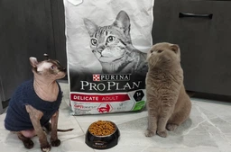 Сухой корм Purina Pro Plan Adult 1+ Delicate Digestion для кошек с чувствительным пищеварением с ягненком 3 кг фото от покупателей 14