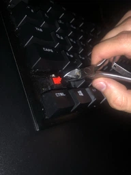 Клавиатура проводная HyperX Alloy FPS Pro Cherry MX Red USB (HX-KB4RD1-RU/R1) фото от покупателей 18
