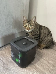 Поїлка PETKIT Eversweet SOLO SE Smart Pet Drinking Fountain Dark Grey (P4103S) фото от покупателей 4