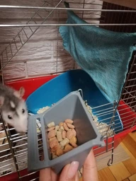 Корм для щурів Beaphar Care + Rat 750 г (18401) (8711231184019) фото від покупців 12
