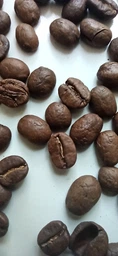 Зерновой кофе Galeador ARABICA COLUMBIA SUPREMO 100% Арабика 1 кг фото от покупателей 5
