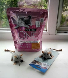 Сухий корм Purina One Junior для кошенят з куркою 450 г. (8445290071972) фото від покупців 19