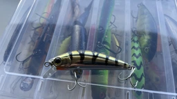 Воблер Yo-Zuri F1168 L-Minnow 66S 7г YP фото від покупців 5