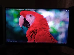 Монитор 23.8" Philips 242E1GAJ/00 фото от покупателей 4