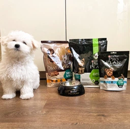 Сухий корм PRO PLAN Small & Mini Puppy Healthy Start для цуценят дрібних порід з куркою 3 кг