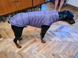 Пуховик Noble Pet Bobby Navy M (B4118/M)