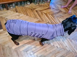 Пуховик Noble Pet Bobby Navy M (B4118/M) фото от покупателей 4