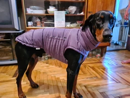 Пуховик Noble Pet Bobby Navy M (B4118/M) фото от покупателей 3