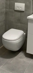 Унитаз подвесной AM.PM Sensation C301700WH FlashClean безободковый без сиденья фото от покупателей 1