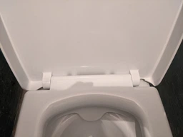 Унітаз-компакт CERSANIT CARINA NEW CLEAN ON 011 K31-050 з бачком та сидінням дюропласт Soft Close фото від покупців 7