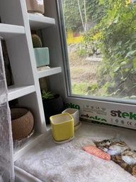 Керамический горшок для суккулентов Mini Plant маленького размера 6,4х6,5см Квадратный Бирюзовый фото от покупателей 7
