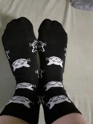 Носки с принтом "Кактус" 36-44 Rock'n'socks Черный 444-28 (2206)