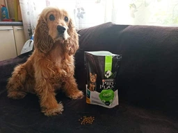 Сухий корм PRO PLAN Small & Mini Puppy Healthy Start для цуценят дрібних порід з куркою 3 кг