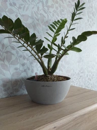 Розумний горщик Lechuza Cubeto Color 30 круглий 4,5 л 30 x 14 см Кварцовый білий